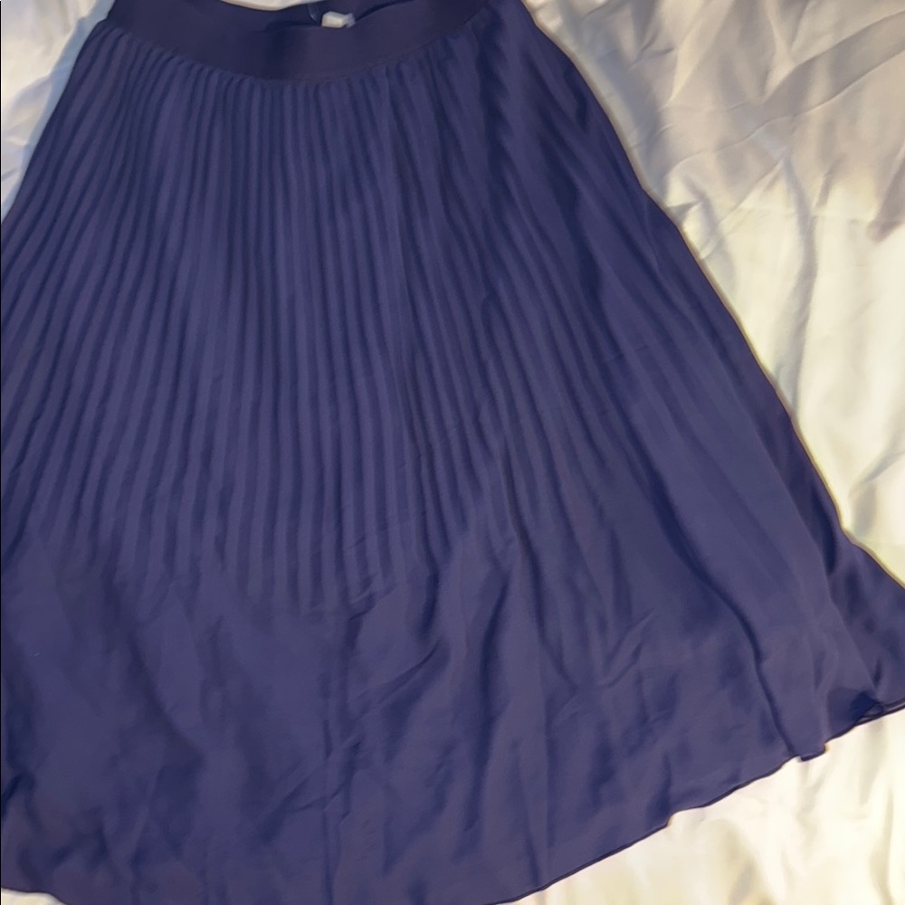 Elegant Blue Pleated Skirt